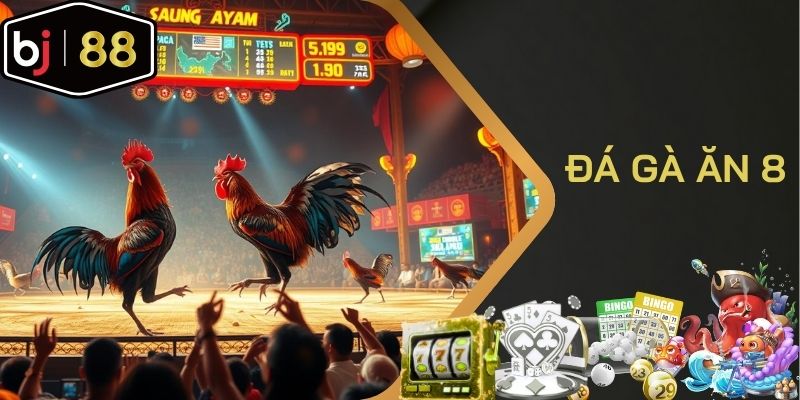 Đá gà ăn 8