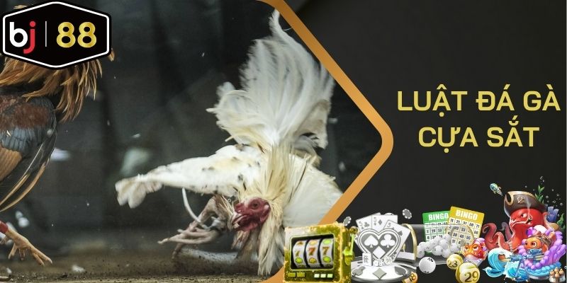 Luật đá gà cựa sắt