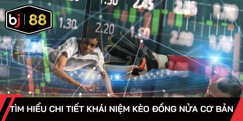 Tìm hiểu chi tiết khái niệm kèo đồng nửa cơ bản
